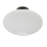 Люстра стельова Е27 60W BK (BR-01 477C/1) 24-631 фото