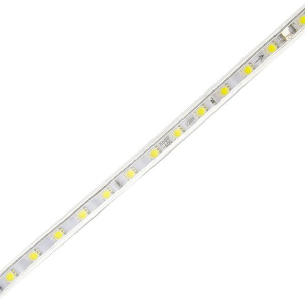 Світлодіодна стрічка вологозахищена холодний відтінок 220V 14.4W 5050 CW WHITE PCB IP67 1m (BY-027/60 ) yl424 фото
