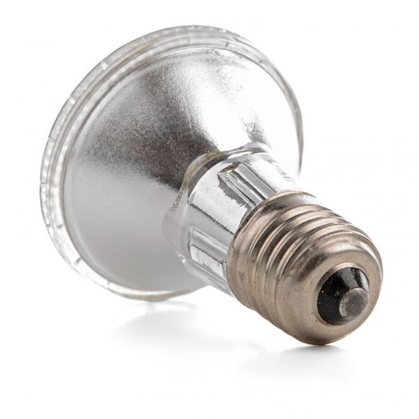 Лампа світлодіодна PAR20 2W/230V E27 LED BLUE Br 220V 126693 фото