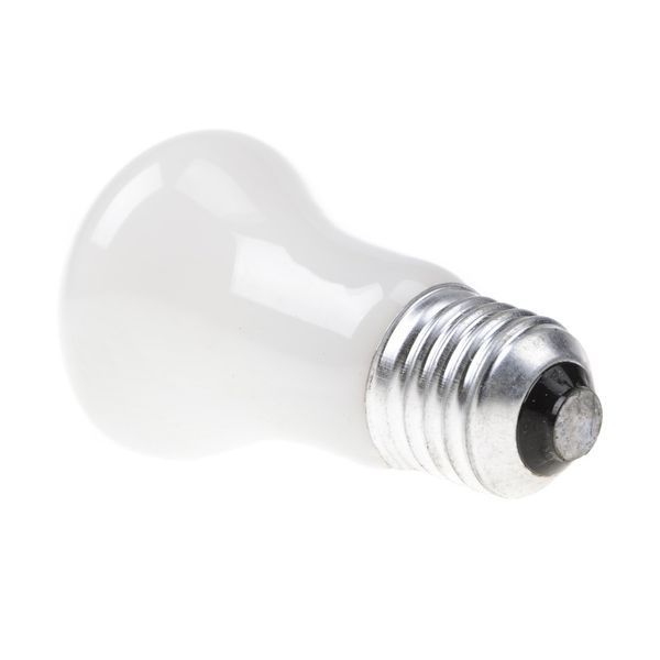 Лампа накаливания декоративная 60W E27 WW E50 220V 126729 фото