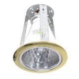 Світильник Downlight стельовий врізний VDL-40 PB 166203 фото
