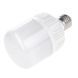 Лампа світлодіодна LED E27 13W CW GL70 220V 32-852 фото 1