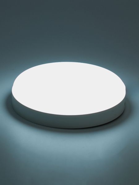 Потолочный накладной светильник LED LED-471/20W CW IP44 33-252 фото