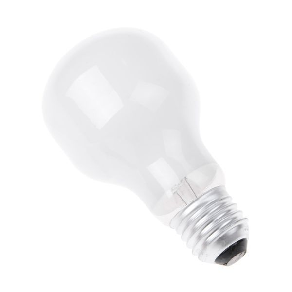 Лампа розжарювання декоративна 75W E27 WW T60 SOFT TONE 220V 126712 фото