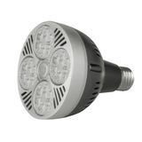 Лампа светодиодная LED E27 20W NW PAR30 33-656 фото