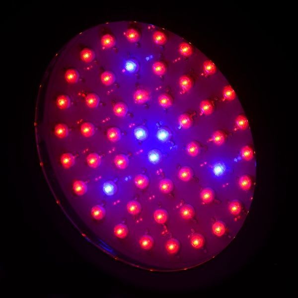 Бра LED фіто для рослин LED-46/50W 50 pcs IP20 GROW l137-004 фото