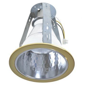 Світильник Downlight стельовий врізний VDL-60 PB 166560 фото