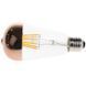 Лампа світлодіодна LED 6W E27 COG WW ST64 AC 220V 32-362 фото 4