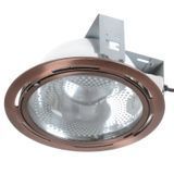 Світильник Downlight стельовий врізний DL-01 AC/2x26W 166319 фото
