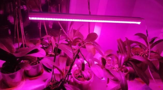 Фітолампа для рослин 9W G13 Т8 Fito GROW (Red: Blue = 5:1) 220V l137-008 фото