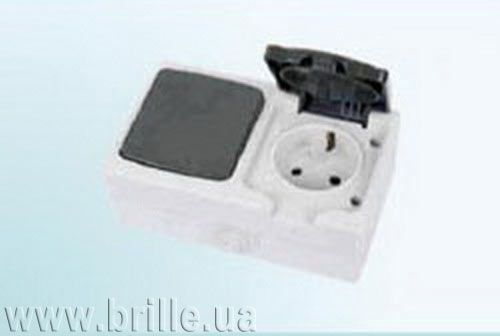 Переключатель+Розетки WF-1V2+1RZ Water FORA 136190 фото