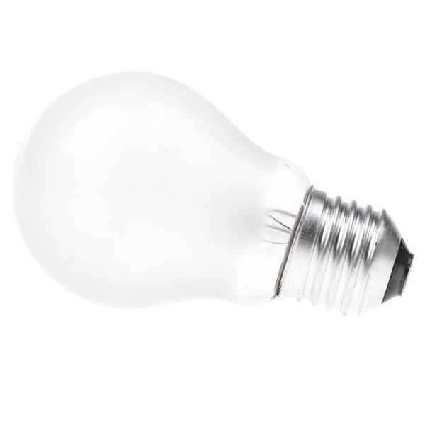 Лампа накаливания 100W E27 WW A55 FR 220V 126815 фото