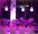 Фітолампа для зростання та формування коренів LED E27 15W Fito GROW (Full Spectrum = 9: 1) 220V l137-014 фото 5