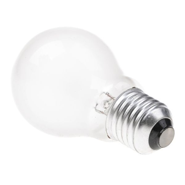 Лампа накаливания 40W E27 WW A55 FR 220V 126818 фото