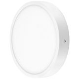 Світильник точковий світлодіодний LED-481/18W CW l121-100 фото
