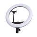 Кольцевая лампа блогера с 3 держателями LED 24W CCT 36 см (TE-053) 43-008 фото 8