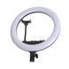 Кольцевая лампа блогера с 3 держателями LED 24W CCT 36 см (TE-053) 43-008 фото 5