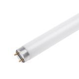 Лампа люминесцентная линейная 30W G13 NW Т8 LF (Economy) 220V 126963 фото