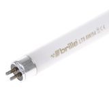 Лампа люминесцентная линейная 6W/54 G5 CW T5 LT5 220V 126448 фото