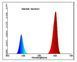 Фітолампа для рослин 18W G13 Т8 Fito GROW (Red:Blue = 5:1) 220V l137-005 фото 3