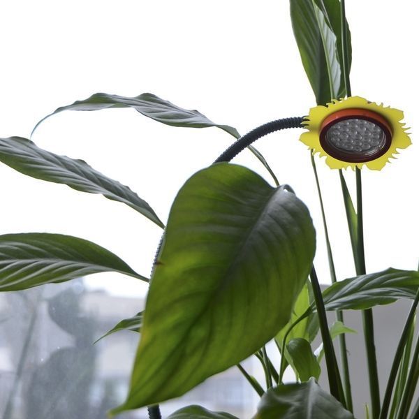 Фітосвітильник для рослин LED IP53 LED-36/3W Fito GROW l128-001 фото