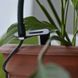Фітосвітильник для рослин LED IP53 LED-36/3W Fito GROW l128-001 фото 8