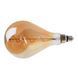 Лампа Едісона LED 4W E27 COG WW A165S Amber 220V 33-661 фото 2