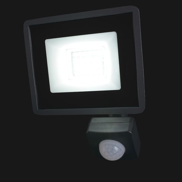Прожектор світлодіодний з датчиком руху HL-19P/15W CW IP65 33-091 фото