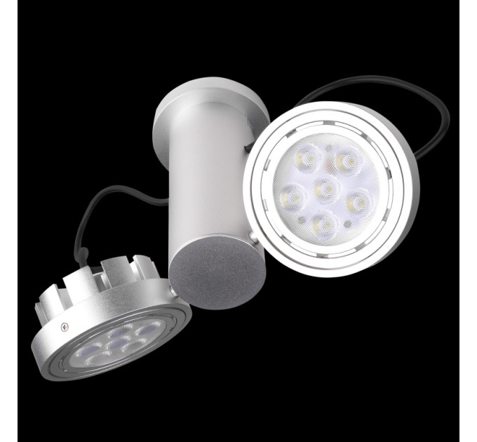 Світильник стельовий LED накладний світлодіодний поворотний LED-215/12x2W