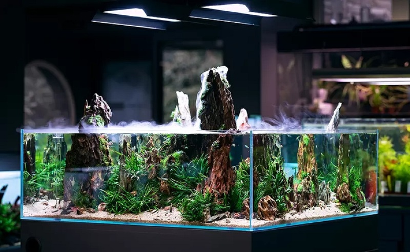 Фитофильтр для аквариума своими руками | Аквариум